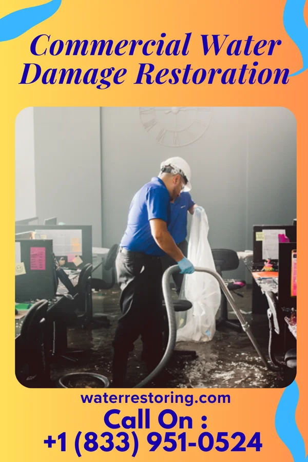 Commercial Water Damage Restoration in Laurel, DE