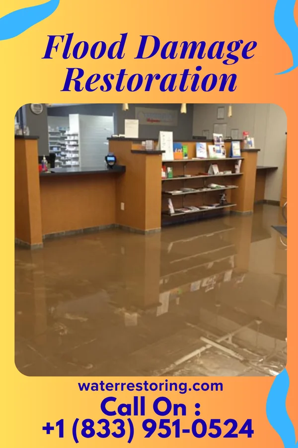 Flood Damage Restoration in Laurel, DE