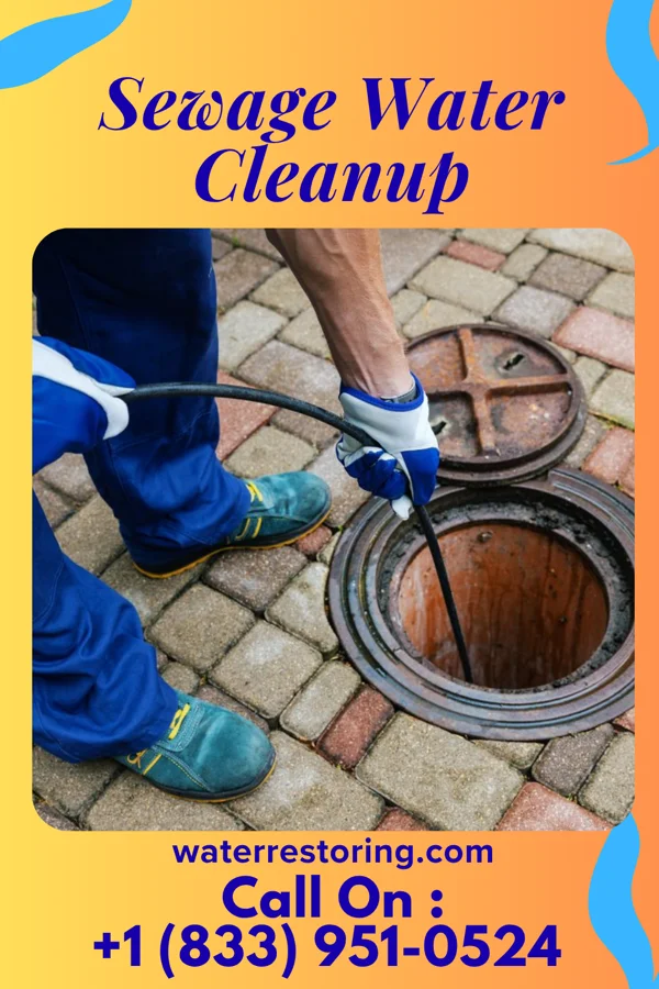 Sewage Water Cleanup in Laurel, DE